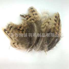 工厂直售野鸡毛母山鸡黑片现货羽毛DIY配件羽毛
