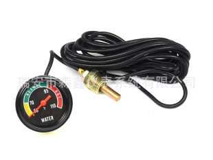 manufacturers Selling Straight-sense Colorful Table Plate Water Temperature meter Line Length 4 m
