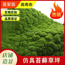 Gֲ ̦\Ƥ ̦ݲƺ 辰 յ