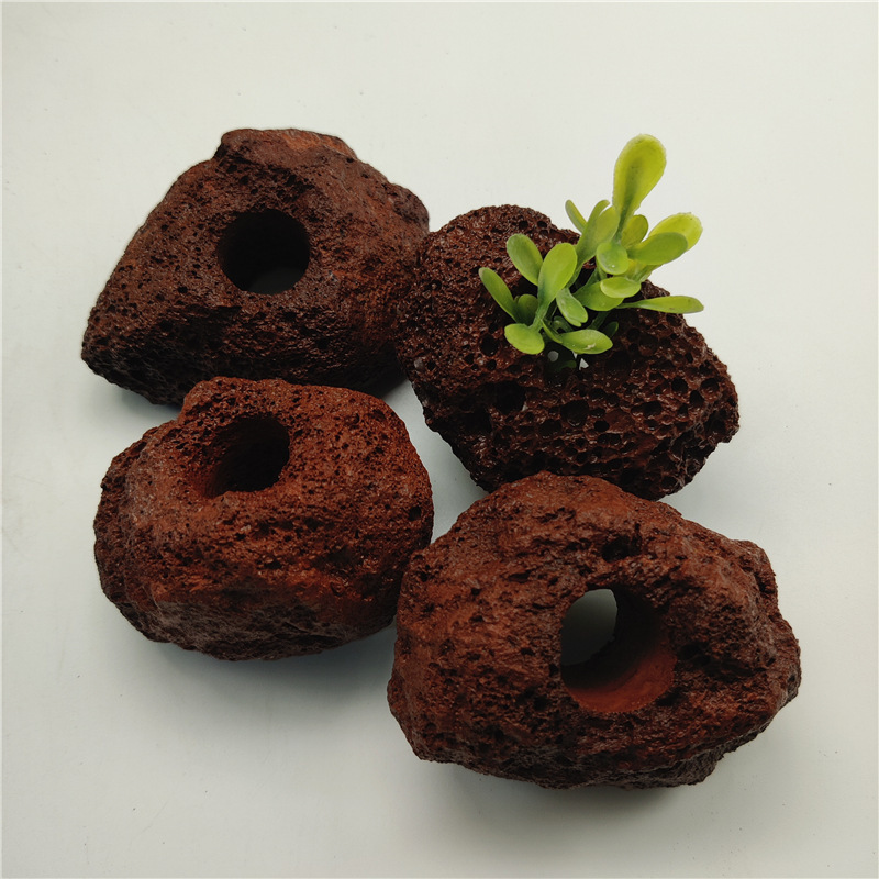 茎のある水草、水槽用ムカデ草、レッドディンシャン、レッドアンブレラ、宮殿型水草、底砂、中景・後景草、水槽造景|undefined