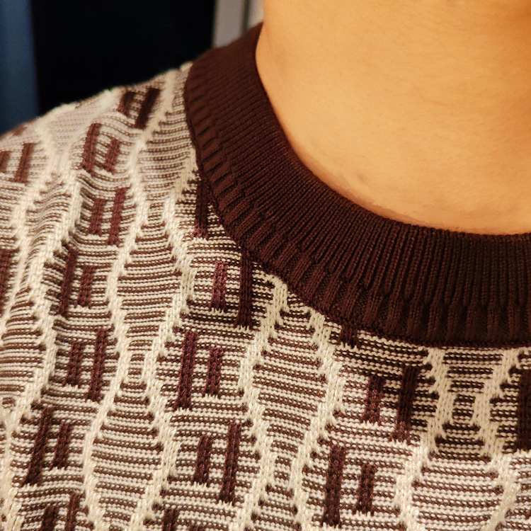 Herrenpullover „European Station“ – Herbst/Winter – Kurzarm, Slim Fit, Rundhalsausschnitt, Strick, Jacquard-Muster, dick gestrickt_voghion.com