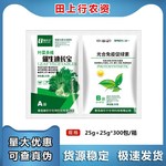 催生速长宝 促进生长黄叶变绿叶菜专用芹菜生菜甘蓝油菜 叶面肥
