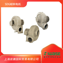 SDGѺ늙C;๦ֱʽLCEP-63S