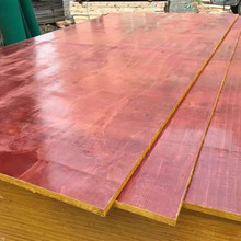 ģľ幤ľľģzϰztľ彨Bģ