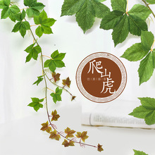 彷真爬山虎藤条假花挂壁树叶空调阳台水管道装饰遮挡悬吊式天花板