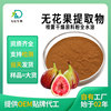 extractive Water soluble Figs Extraction solid Drinks raw material Manufactor goods in stock wholesale