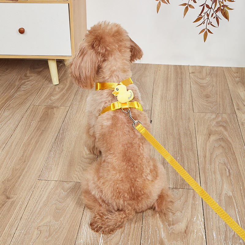 Nuevo perro corda de tracción lindo pato amarillo anti-desprendimiento chaleco ajustable felino cinturón de pecho en stock al por mayor