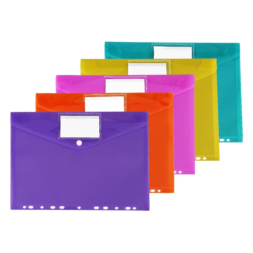 Папка-файл Pin Yue оптом, формат А4, на кнопках, с 11 отверстиями, с этикеткой, для хранения чеков, пластиковая, прозрачная, с вкладышами, на кольцах