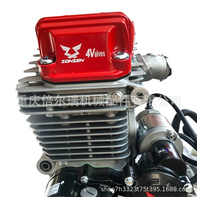 250Cc Zongshen Cb250R – Motorcycle engine and accessories