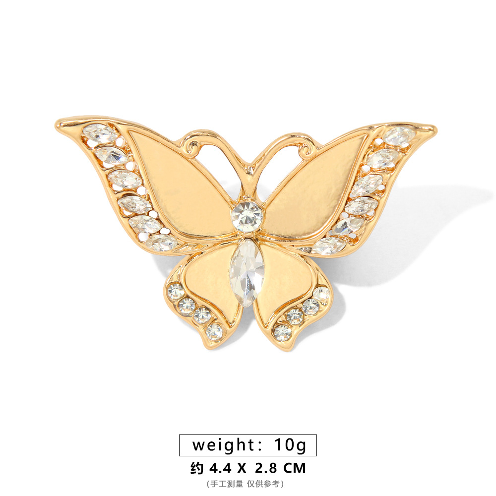 【고품질】노지 나비