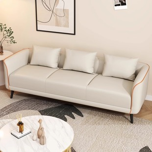 Internet Celebrity Sofa Small Apartment Double Three Person Living Room Rental House Apartment Light Luxury Reception Technology Cloth Combination Sofa