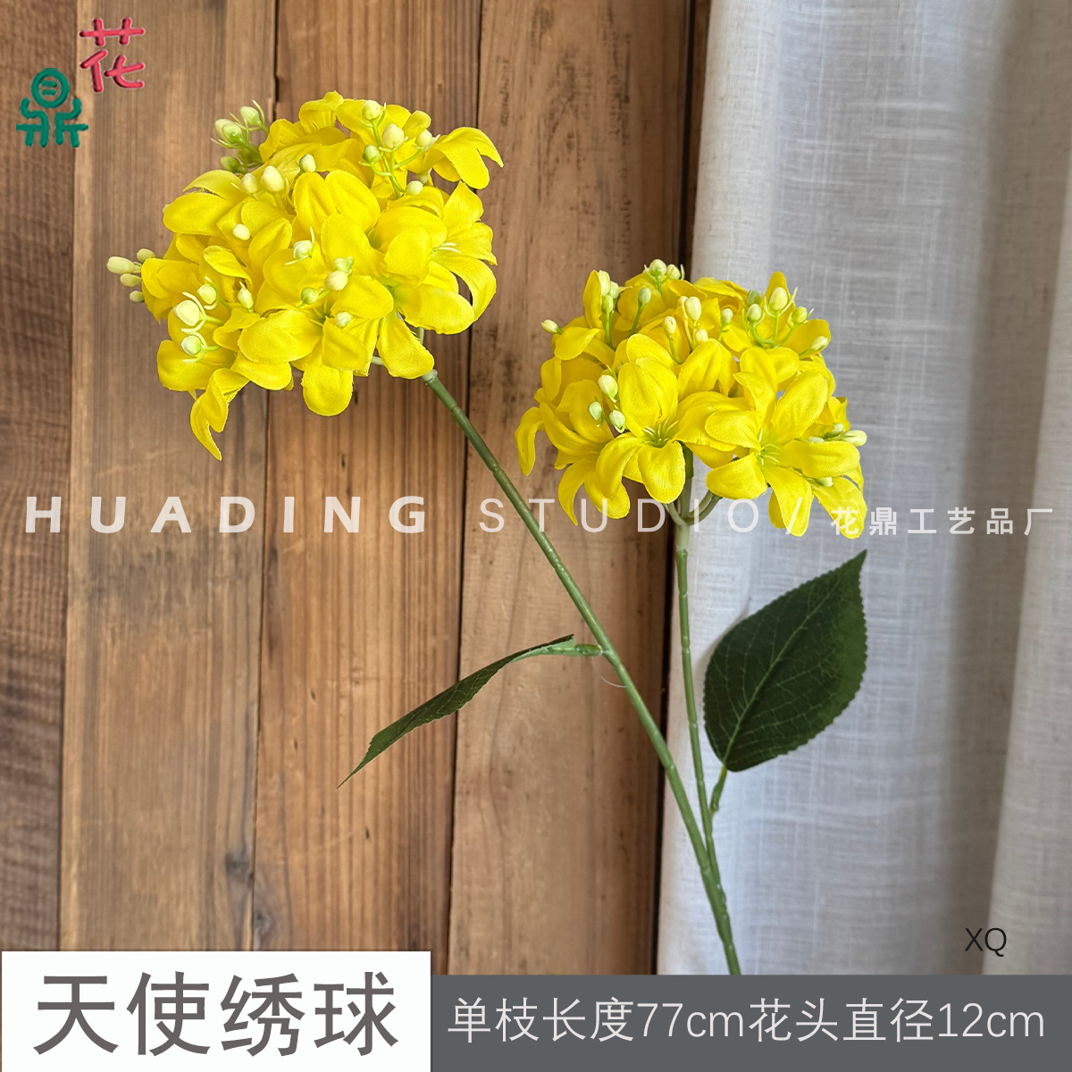 천사 수국 XQ 옐로우