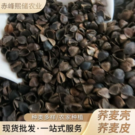 豆类;面粉;麦类
