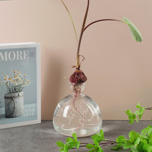 Japanese Avocado Hydroponic Vase Avocado Core Seed Planting Container Vessel Glass Vase Pot Gardening
