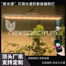 �¿�150W 200wֲ�ﾀ�ԟ����l���L�l��ȫ���V���ܽM�Wֲ�����L��