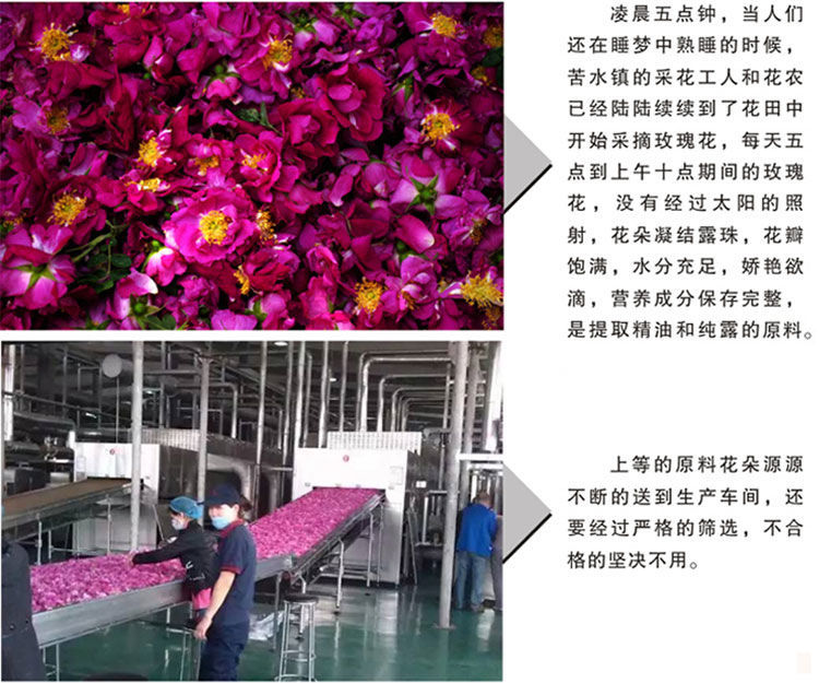 Kushui Rose Bud Tea Mei Gui Hua 500g Freeze Dried Edible Loose Purple Rose Buds Gansu preparation