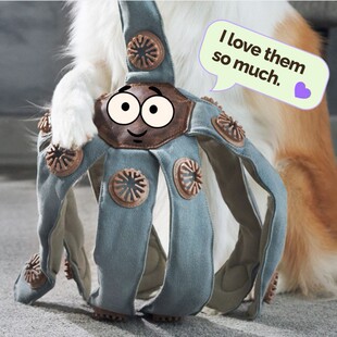 �羳���R�d����Dog Toy That Outsmarts Boredom���~�Π�����