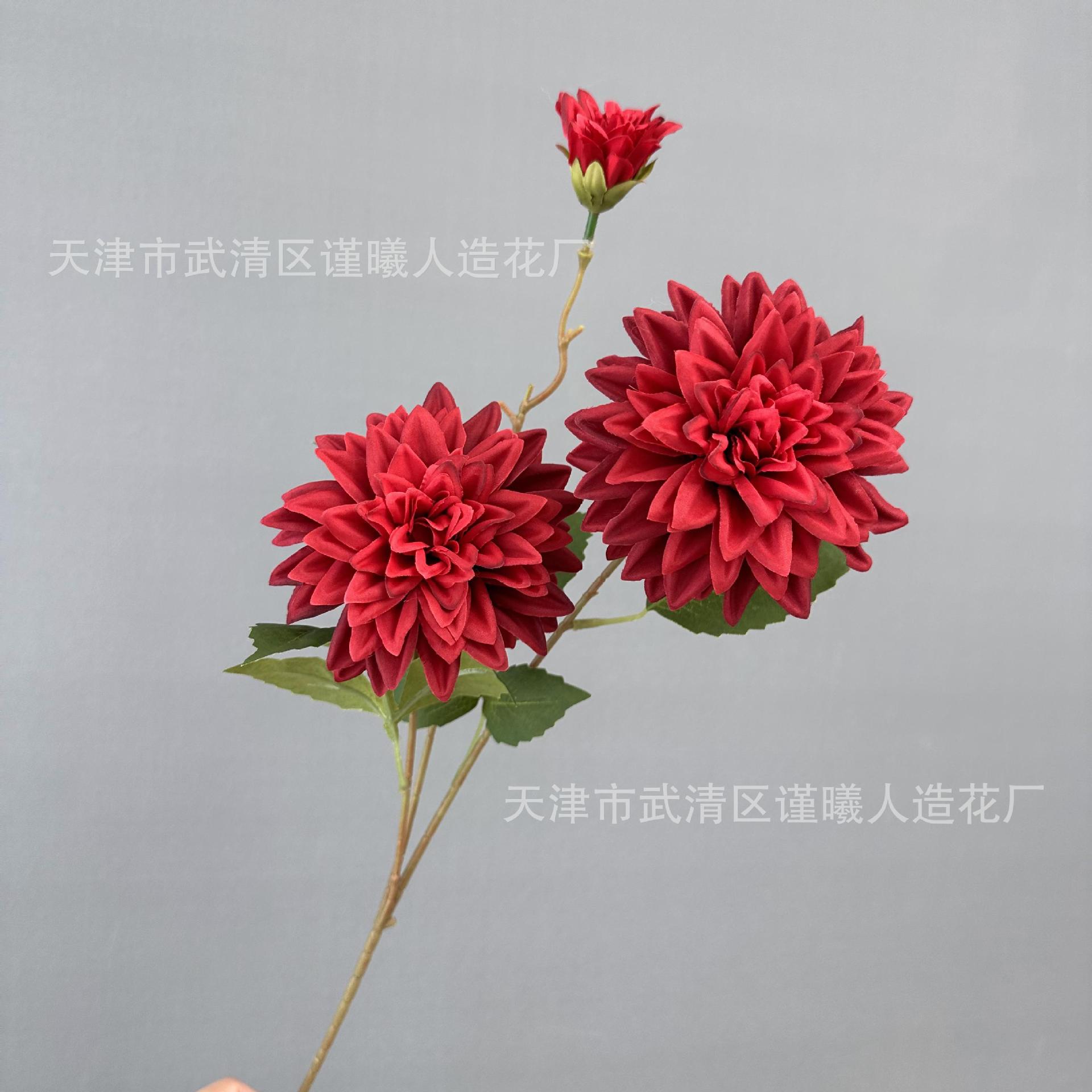 화려한 꽃