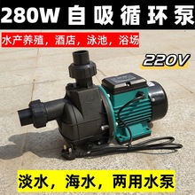 220V�Ƶ�����ѭ�hˮ��HLS 280W���r�~��Ӿ���B�iѭ�h�^�V����ˮ��