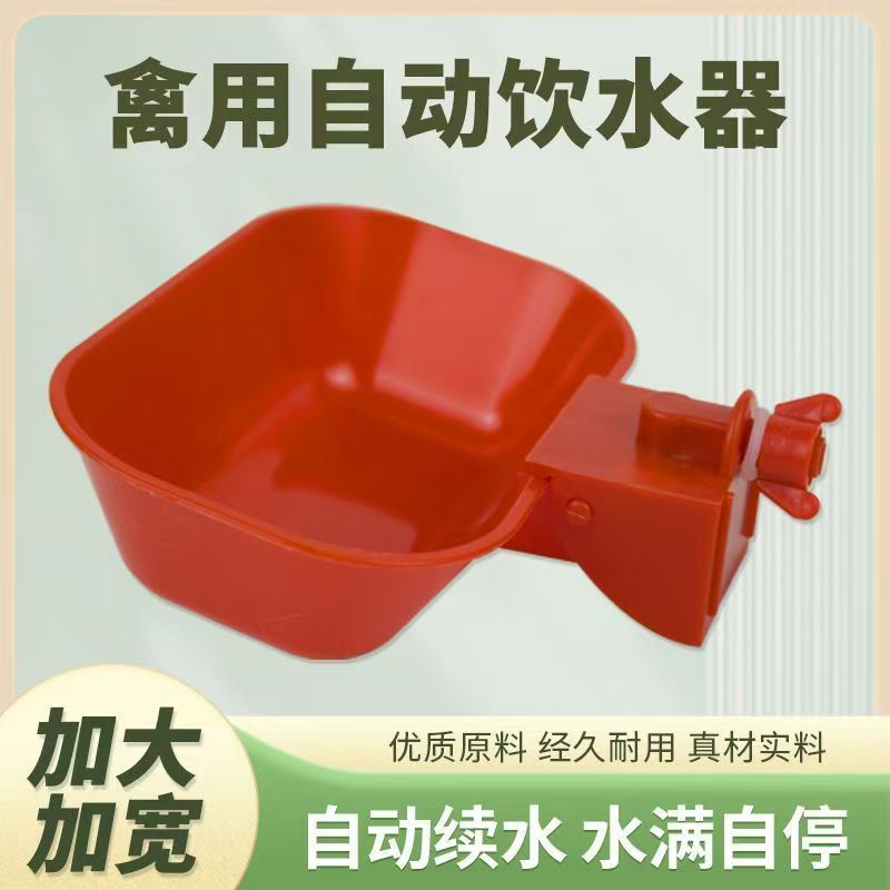 Automatic drinking bowl feeder for chickens