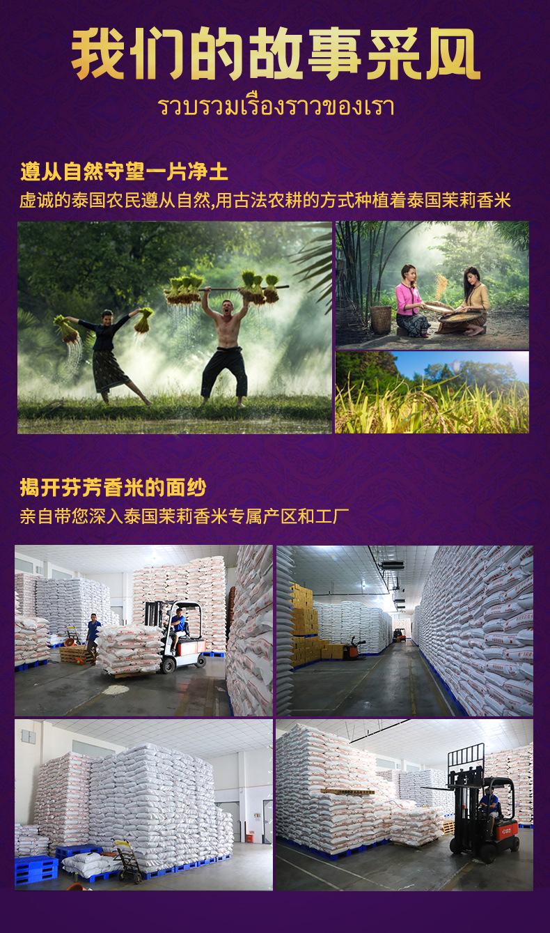 泰皇进口茉莉香六面详情页jpg_10