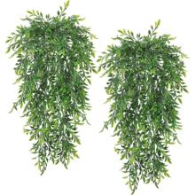 ����Gֲ�ڒ촹���ٗl�Gɫֲ����m��˹ާ��ڹܵ����չ�d�b�