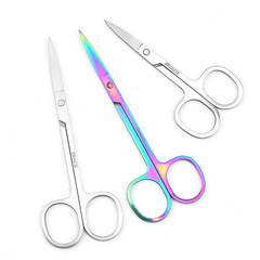 Factory Stainless Steel Beauty Scissors Household Eyebrow Scissors Pointed Nose Hair Trimmer Small Scissors Beauty Tools Wholesale