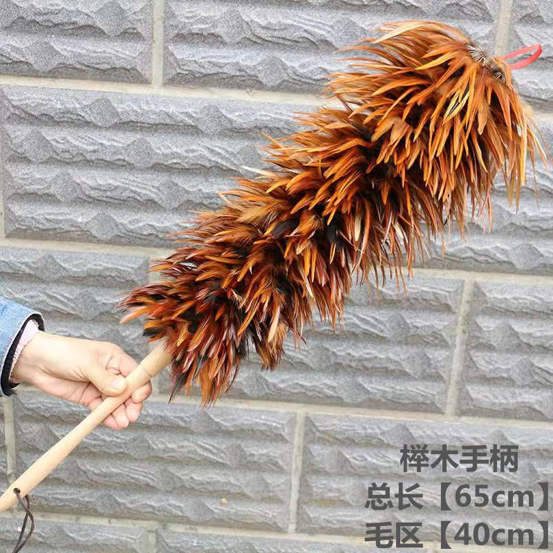 e532deab-a968-4655-9b58-d79351298db7.jpe