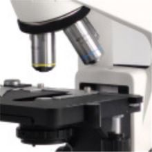 �ﲩ���ý����@΢�R��Ŀ�R�^�췴����������@΢�R���ٿ���