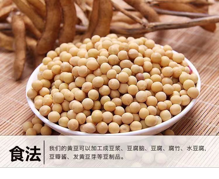 5073ba9d-7a29-4791-9db8-023e29c6e257.jpe