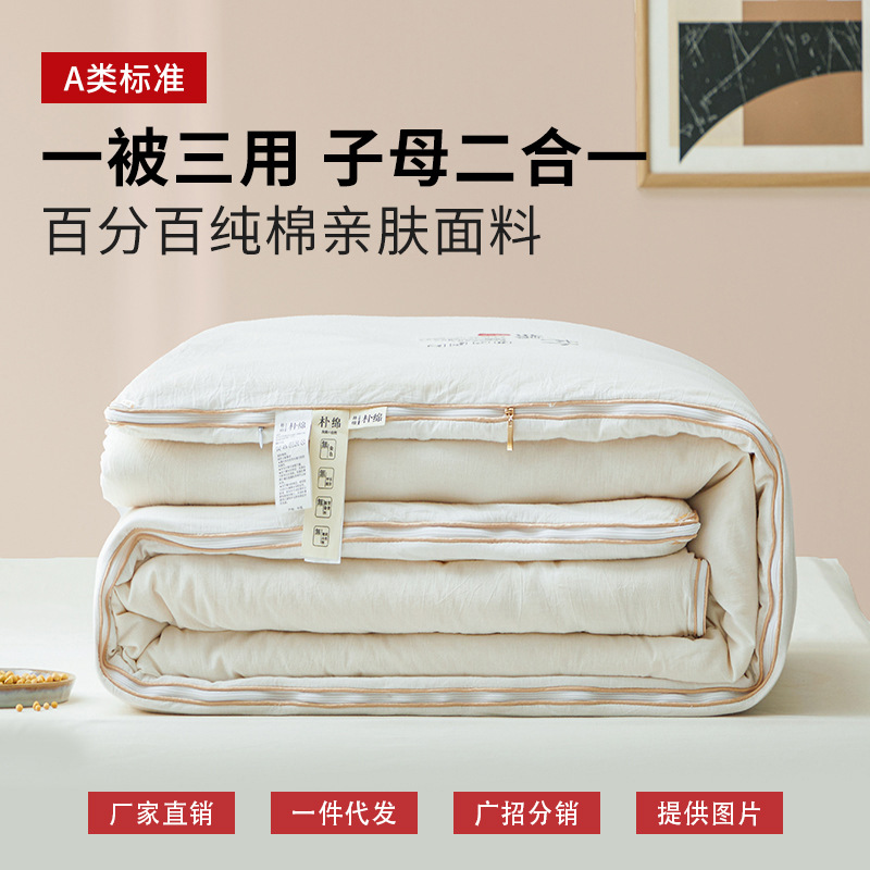 Category a Maternal and Infant Grade Soy Fiber Mother-In-Law Quilt Two-In-One Zipper Quilt Winter Quilt Thickeneded Warm Quilt Core