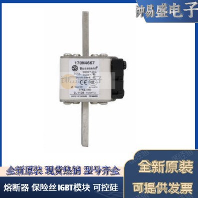 美国BUSSMANN熔断器170M5592  170M5593  170M5594 巴斯曼熔断器