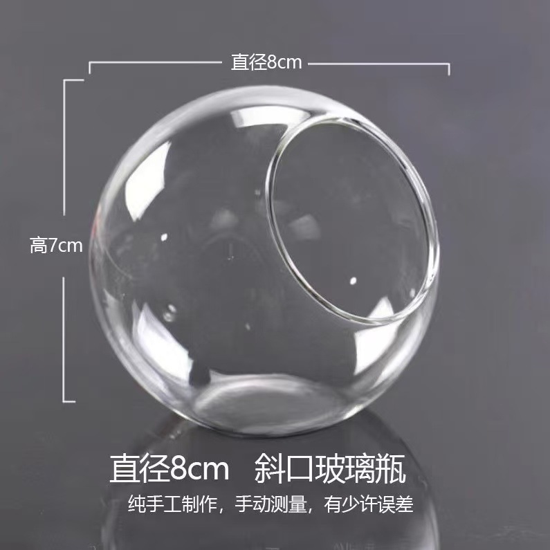 透明斜口玻璃花瓶 圆形微景观生态瓶多肉花瓶水培花器|undefined