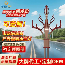道路照明灯;太阳能灯;路灯