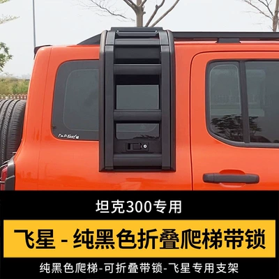 Roof rack: Luggage Rack Roof Expansion - tank-300-fuel-version-flying-star-model-pure-black-folding-ladder-no-need-to-drill-holes