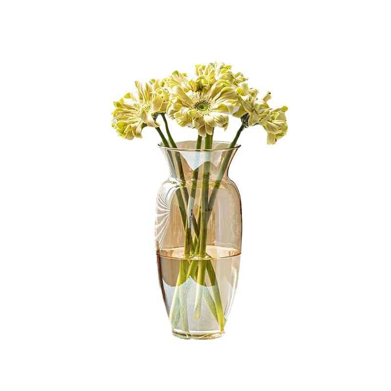 Moderno Estilo nórdico simple florero de vidrio transparente flores acuáticas galvanoplastia florero mesa de comedor modelo decoración de la habitación