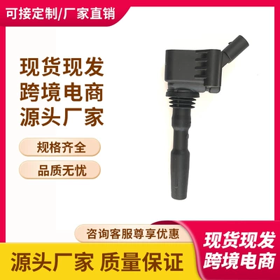 In Stock 04E905110C, 04E905110A, 04E905110B Ignition Coil Suitable for Volkswagen Audi