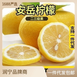 Бег Anyue Lemon Fresh Fruit Two и третий уровень 2 Желтая лимона Свежая кожа, суб -дюйс, 2 фунта специальной ценовой оптом оптом