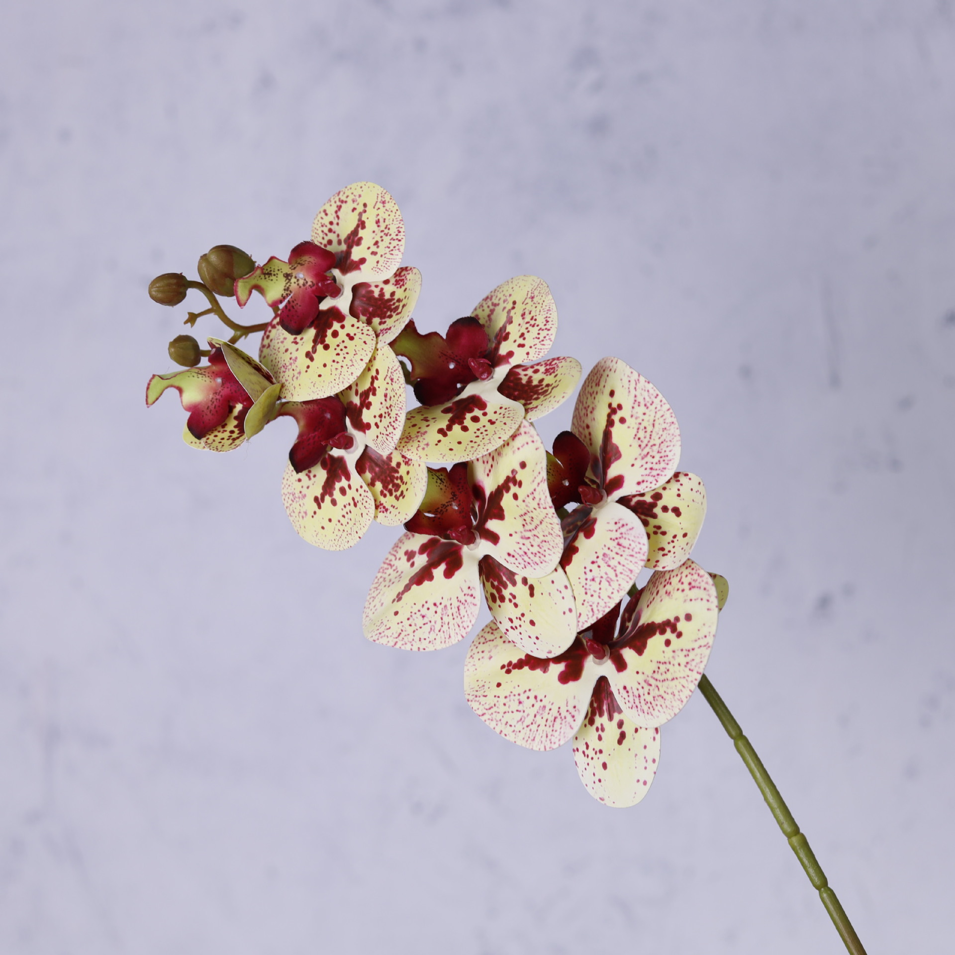 Impresión 3D de 7 cabezas de orquídeas mariposa flor de decoración de flores de alto nivel flor de nicho decoración floral decoración de sala de estar