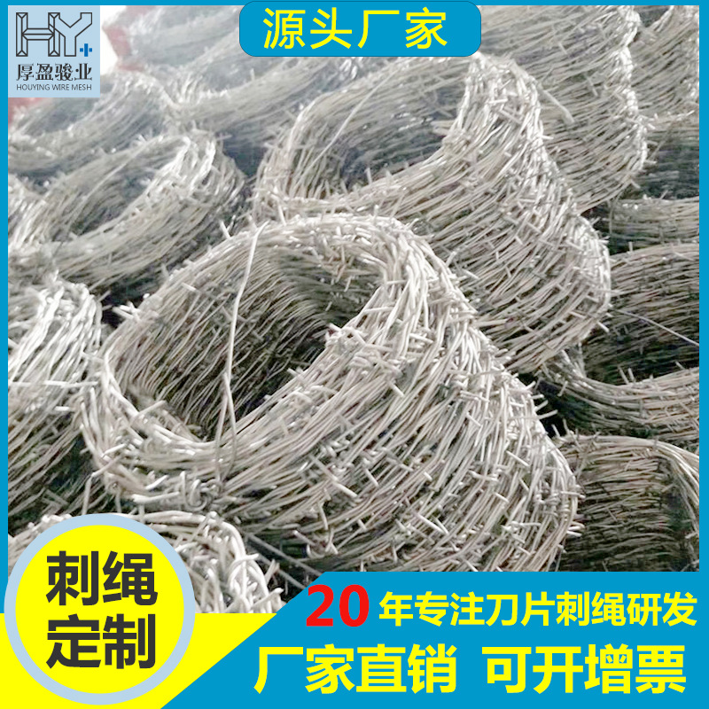 定制刺绳刺铁丝铁刺绳刀片围栏围墙防盗网丝网小区防护钢丝线围网