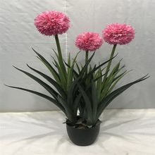 ���Ʒ�������m  �tɫ�A���� �����m�������Ի�ˇ�҃��bGֲ