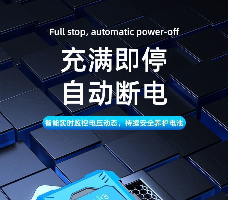 Electric Vehicle Battery Repairer Activates and Extends Battery Life, Pulse Charger, Electric Repairer, Universal Type