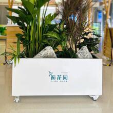 ?����݆���������ƄӷNֲ��¶�I�L��[�������ڽ��ٻ��ۻ��趨