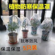 果树花卉盆草植物保温防寒保暖冬天季防冻花罩套布过冬保护塑料袋