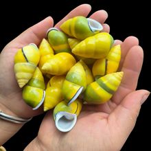 ؐȻСָؐDIYֹbȾɫСǼľзQС