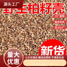 柏籽壳柏壳枕头新货侧柏籽壳枕芯填充物枕套内胆松柏壳子默认项棉