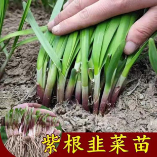 �F���Ͼ²��¸��猒�~�t���҃��̨ͥԺ�N���ļ�����ֲ���߲���