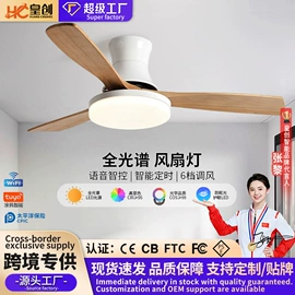 风扇灯;吸顶灯;智能家居