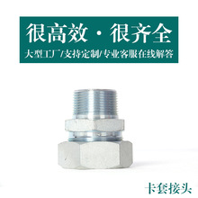 �����������ݼy���ٽ��^���������Թ̿����� Ƥ���^�ӿ��׽��^