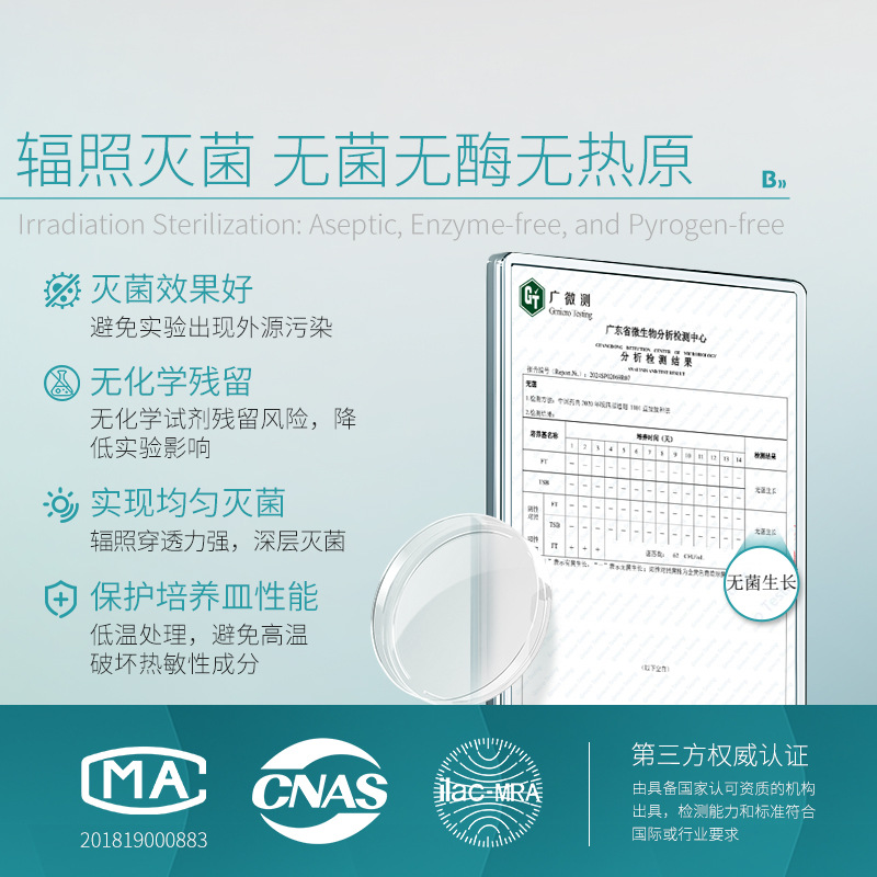 全网通5G智能手机